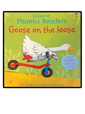 BUNDLE & SAVE🎉 Usborne Phonics Readers: Goose on the Loose Softcover Book